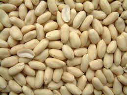 Roasted groundnut seeds